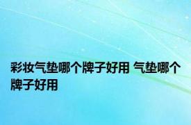 彩妆气垫哪个牌子好用 气垫哪个牌子好用 