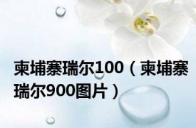 柬埔寨瑞尔100（柬埔寨瑞尔900图片）