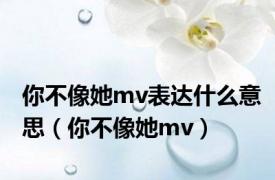 你不像她mv表达什么意思（你不像她mv）