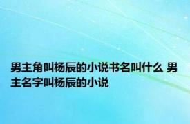 男主角叫杨辰的小说书名叫什么 男主名字叫杨辰的小说 