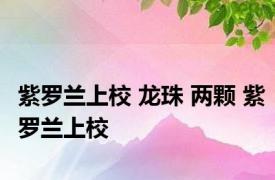 紫罗兰上校 龙珠 两颗 紫罗兰上校 