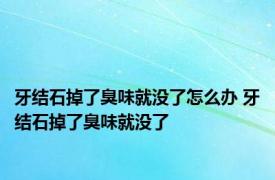 牙结石掉了臭味就没了怎么办 牙结石掉了臭味就没了 