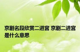 京剧名段欣赏二进宫 京剧二进宫是什么意思