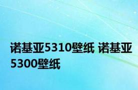 诺基亚5310壁纸 诺基亚5300壁纸 