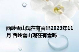 西岭雪山现在有雪吗2023年11月 西岭雪山现在有雪吗 