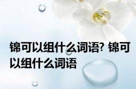 锦可以组什么词语? 锦可以组什么词语