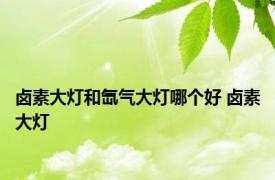 卤素大灯和氙气大灯哪个好 卤素大灯 