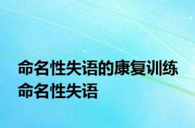 命名性失语的康复训练 命名性失语 