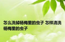 怎么洗掉杨梅里的虫子 怎样清洗杨梅里的虫子