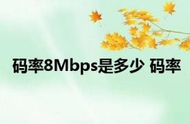 码率8Mbps是多少 码率 