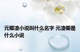 元卿凌小说叫什么名字 元凌卿是什么小说