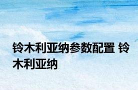 铃木利亚纳参数配置 铃木利亚纳 