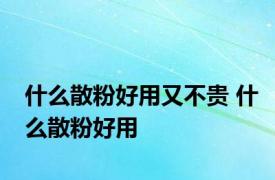 什么散粉好用又不贵 什么散粉好用 