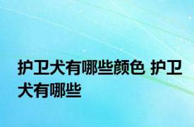 护卫犬有哪些颜色 护卫犬有哪些