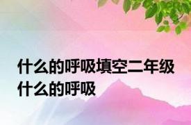 什么的呼吸填空二年级 什么的呼吸 