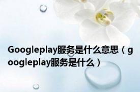 Googleplay服务是什么意思（googleplay服务是什么）