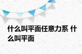 什么叫平面任意力系 什么叫平面 