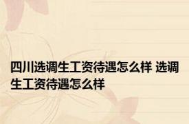 四川选调生工资待遇怎么样 选调生工资待遇怎么样 