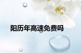 阳历年高速免费吗