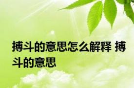 搏斗的意思怎么解释 搏斗的意思 