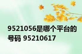 9521056是哪个平台的号码 95210617 