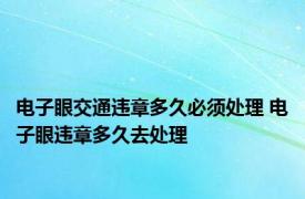 电子眼交通违章多久必须处理 电子眼违章多久去处理 