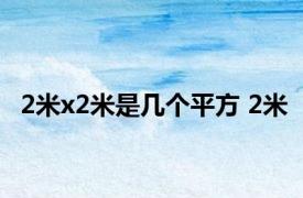 2米x2米是几个平方 2米 