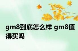 gm8到底怎么样 gm8值得买吗 