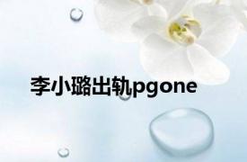 李小璐出轨pgone