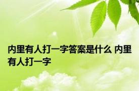 内里有人打一字答案是什么 内里有人打一字 