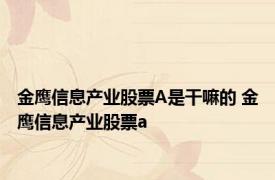 金鹰信息产业股票A是干嘛的 金鹰信息产业股票a 