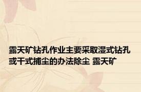 露天矿钻孔作业主要采取湿式钻孔或干式捕尘的办法除尘 露天矿 