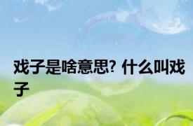 戏子是啥意思? 什么叫戏子