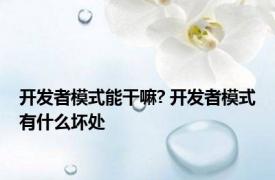 开发者模式能干嘛? 开发者模式有什么坏处