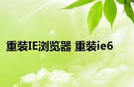 重装IE浏览器 重装ie6 