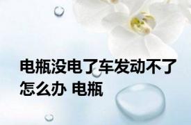 电瓶没电了车发动不了怎么办 电瓶 