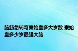 脑筋急转弯秦始皇多大岁数 秦始皇多少岁最强大脑 