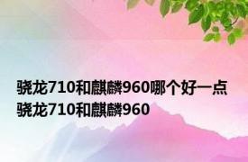 骁龙710和麒麟960哪个好一点 骁龙710和麒麟960 