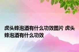 虎头蜂泡酒有什么功效图片 虎头蜂泡酒有什么功效 