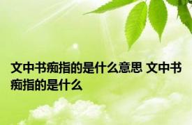 文中书痴指的是什么意思 文中书痴指的是什么