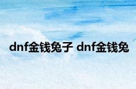 dnf金钱兔子 dnf金钱兔 