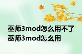 巫师3mod怎么用不了 巫师3mod怎么用