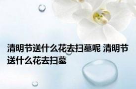 清明节送什么花去扫墓呢 清明节送什么花去扫墓