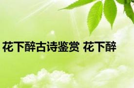 花下醉古诗鉴赏 花下醉 