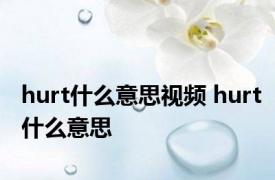 hurt什么意思视频 hurt什么意思 