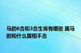 马的6合和3合生肖有哪些 属马的和什么属相不合 