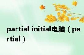 partial initial电脑（partial）