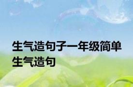 生气造句子一年级简单 生气造句 