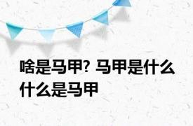 啥是马甲? 马甲是什么 什么是马甲