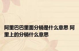 阿里巴巴里面分销是什么意思 阿里上的分销什么意思